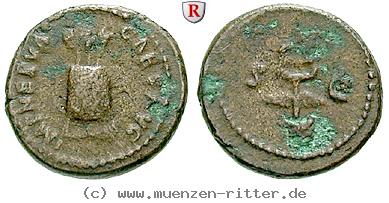 nerva-quadrans/68499.jpg