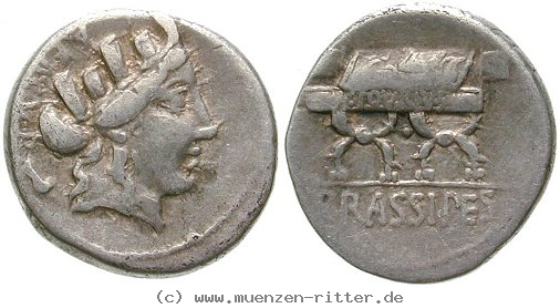 p-furius-crassipes-denar/erom7774.jpg