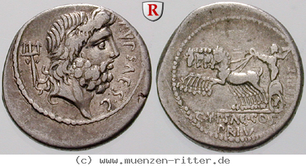 p-hypsaeus-denar/erom4773.jpg