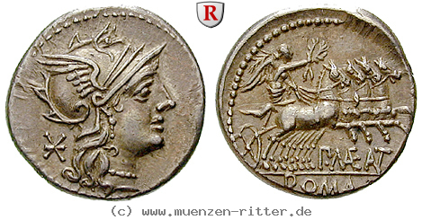 p-maenius-antiaticus-denar/26941.jpg
