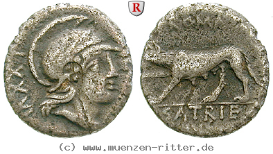 Klicken Sie auf das Bild um es auf Ihrem Rechner zu speichern p-satrienus-denar/48716.jpg