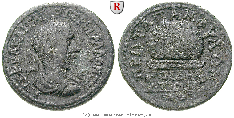pamphylien-trebonianus-gallus-bronze/77177.jpg