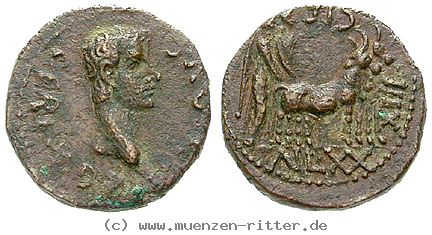 paphlagonien-caligula-bronze/24029.jpg