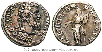 pertinax-denar/erom5952.jpg