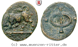 phliasia-bronze/38650.jpg