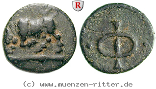 Klicken Sie auf das Bild um es auf Ihrem Rechner zu speichern phliasia-bronze/65681.jpg