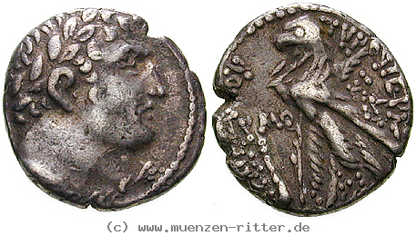 Klicken Sie auf das Bild um es auf Ihrem Rechner zu speichern phoenizien-1-2-schekel/egri8020.jpg