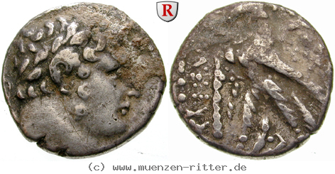 Klicken Sie auf das Bild um es auf Ihrem Rechner zu speichern phoenizien-1-2-schekel/egri8023.jpg