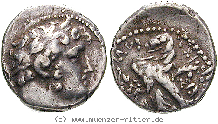 phoenizien-1-2-schekel/egri8027.jpg