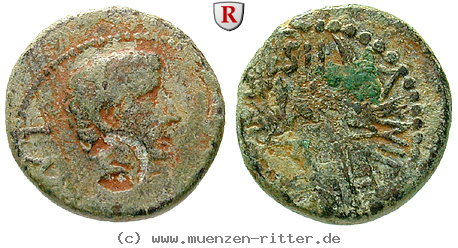 phoenizien-augustus-bronze/66683.jpg