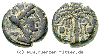 phoenizien-bronze/24679.jpg