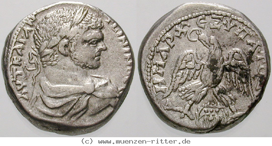 phoenizien-caracalla-tetradrachme/erom9953.jpg
