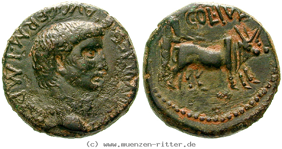 phoenizien-claudius-i-bronze/erom7461.jpg