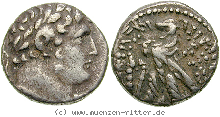 phoenizien-didrachme/egri8024.jpg