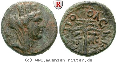 phoenizien-hadrianus-bronze/erom5692.jpg