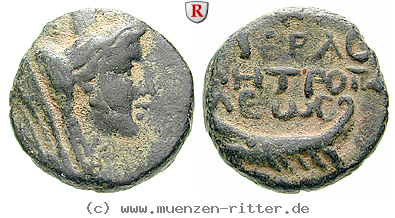 phoenizien-septimius-severus-bronze/erom4636.jpg
