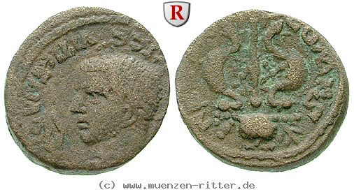 phoenizien-severus-alexander-bronze/erom5613.jpg