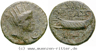 phoenizien-vespasianus-bronze/erom4637.jpg