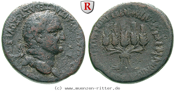 phrygien-vespasianus-bronze/61453.jpg