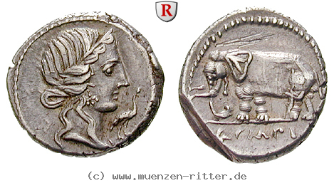 Klicken Sie auf das Bild um es auf Ihrem Rechner zu speichern q-caecilius-metellus-denar/25109.jpg