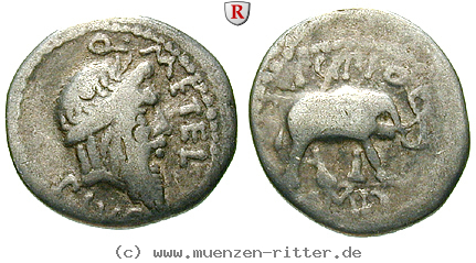 Klicken Sie auf das Bild um es auf Ihrem Rechner zu speichern q-caecilius-metellus-denar/72756.jpg