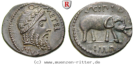 q-caecilius-metellus-denar/77601.jpg