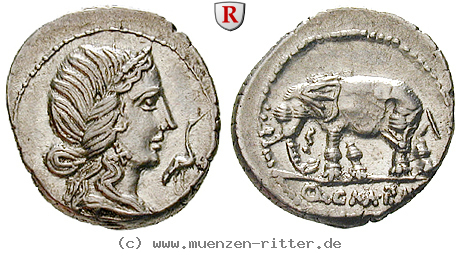 q-caecilius-metellus-denar/79395.jpg