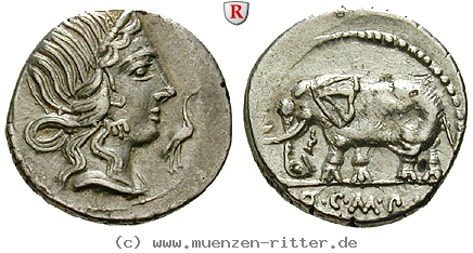q-caecilius-metellus-denar/84008.jpg
