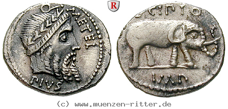 Klicken Sie auf das Bild um es auf Ihrem Rechner zu speichern q-caecilius-metellus-denar/92020.jpg