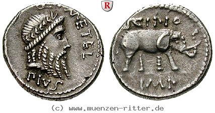 Klicken Sie auf das Bild um es auf Ihrem Rechner zu speichern q-caecilius-metellus-denar/98351.jpg