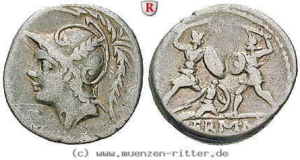 Klicken Sie auf das Bild um es auf Ihrem Rechner zu speichern q-minucius-thermus-denar/erom5904.jpg