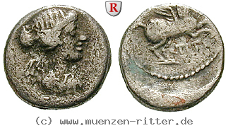 q-titius-quinar/38486.jpg