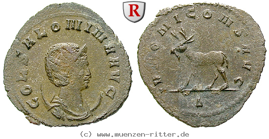 Klicken Sie auf das Bild um es auf Ihrem Rechner zu speichern salonina-frau-des-gallienus-antoninian/39701.jpg
