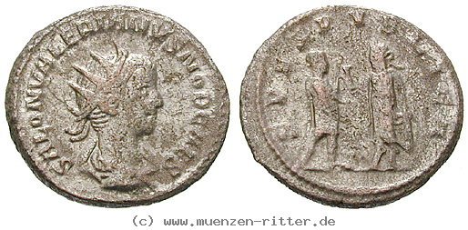 saloninus-caesar-antoninian/11334.jpg