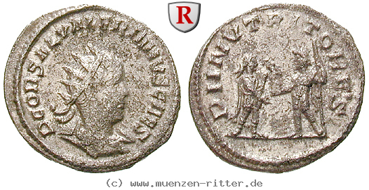 saloninus-caesar-antoninian/24553.jpg