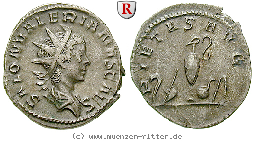 saloninus-caesar-antoninian/47816.jpg