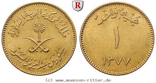 Klicken Sie auf das Bild um es auf Ihrem Rechner zu speichern saudi-arabien-guinea/92721.jpg