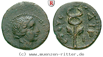 seleukis-und-pieria-autonome-praegungen-bronze/64853.jpg