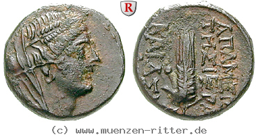 seleukis-und-pieria-bronze/13638.jpg
