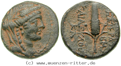 seleukis-und-pieria-bronze/egri6553.jpg