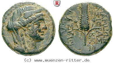 seleukis-und-pieria-bronze/egri7428.jpg