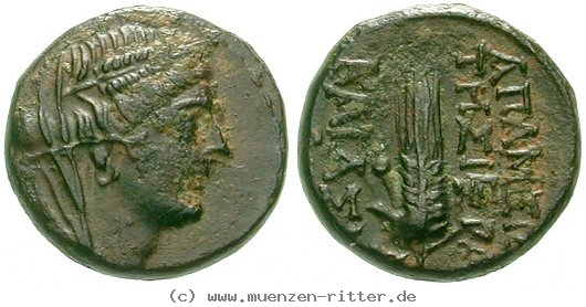 seleukis-und-pieria-bronze/egri7435.jpg