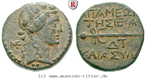 seleukis-und-pieria-bronze/egri7438.jpg