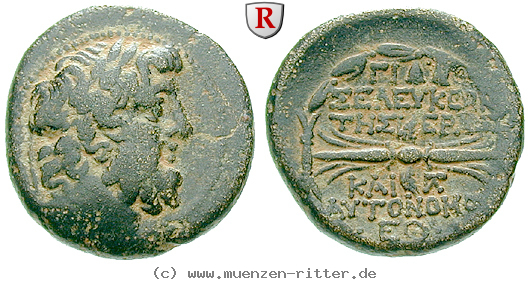 seleukis-und-pieria-bronze/egri7441.jpg