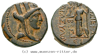 seleukis-und-pieria-bronze/egri8030.jpg