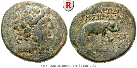 Klicken Sie auf das Bild um es auf Ihrem Rechner zu speichern seleukis-und-pieria-bronze/egri8164.jpg