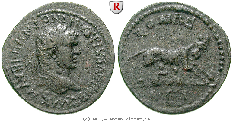 seleukis-und-pieria-caracalla-bronze/64981.jpg