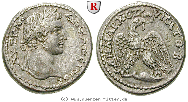 seleukis-und-pieria-caracalla-tetradrachme/46813.jpg