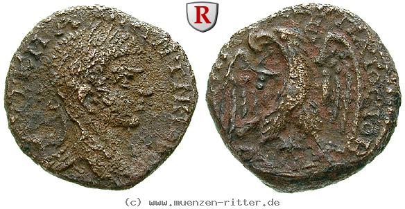 seleukis-und-pieria-caracalla-tetradrachme/60665.jpg