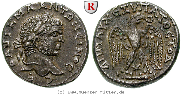 seleukis-und-pieria-caracalla-tetradrachme/62091.jpg
